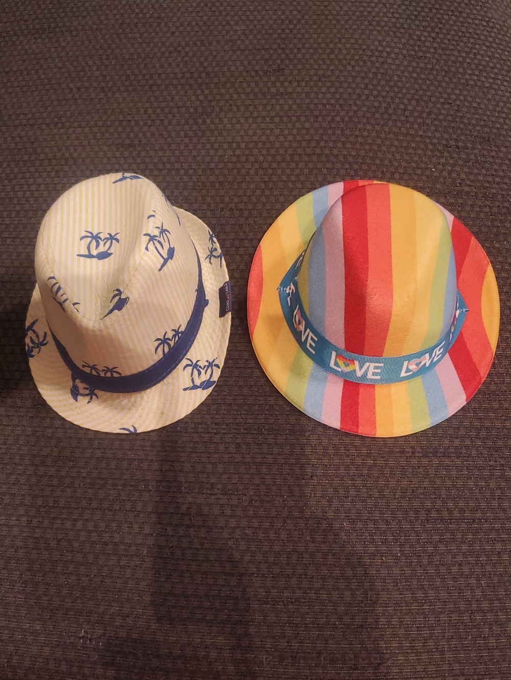 Pet Colorful Rainbow & Palm Print Fedora Hats